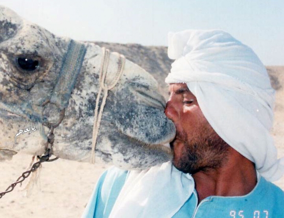 كامیان حەزی لە ماچە!